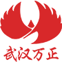 武漢市萬(wàn)正系統(tǒng)集成有限責(zé)任公司